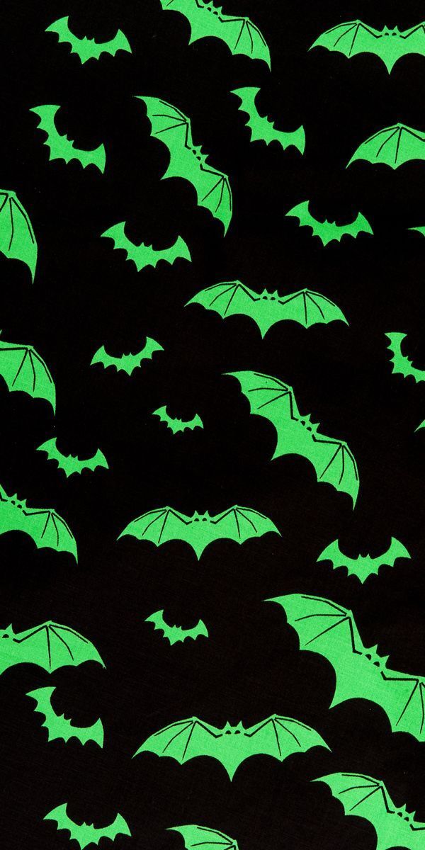 Bats Wallpapers  Wallpaper Cave