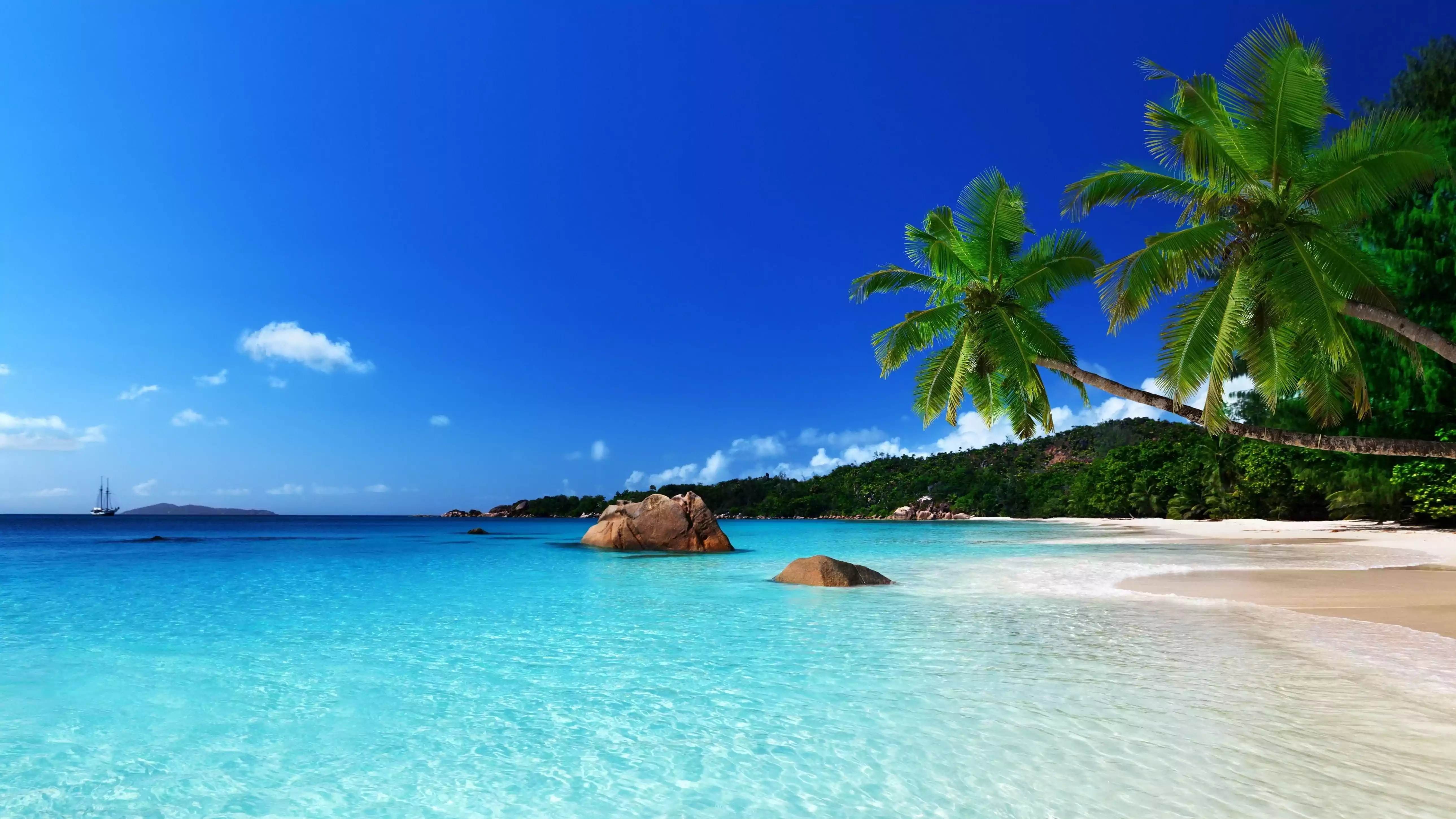 30 Beach Backgrounds  Free JPEG PNG Format Download