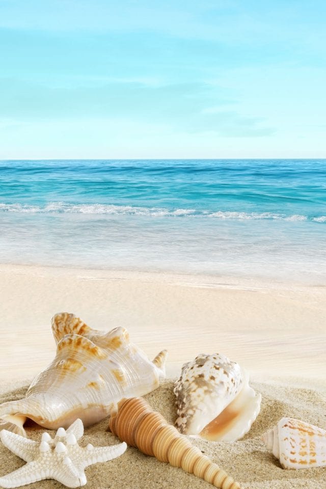 Gorgeous Beach Wallpaper Ideas For iPhone  The Mood Guide