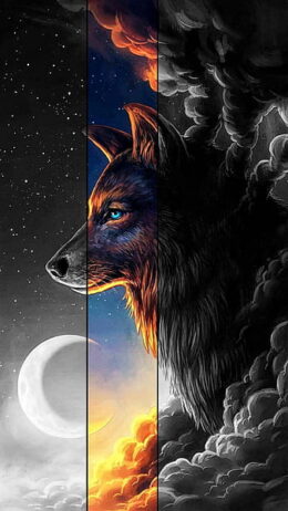 Beautiful Wallpaper