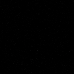 Black Background Wallpaper