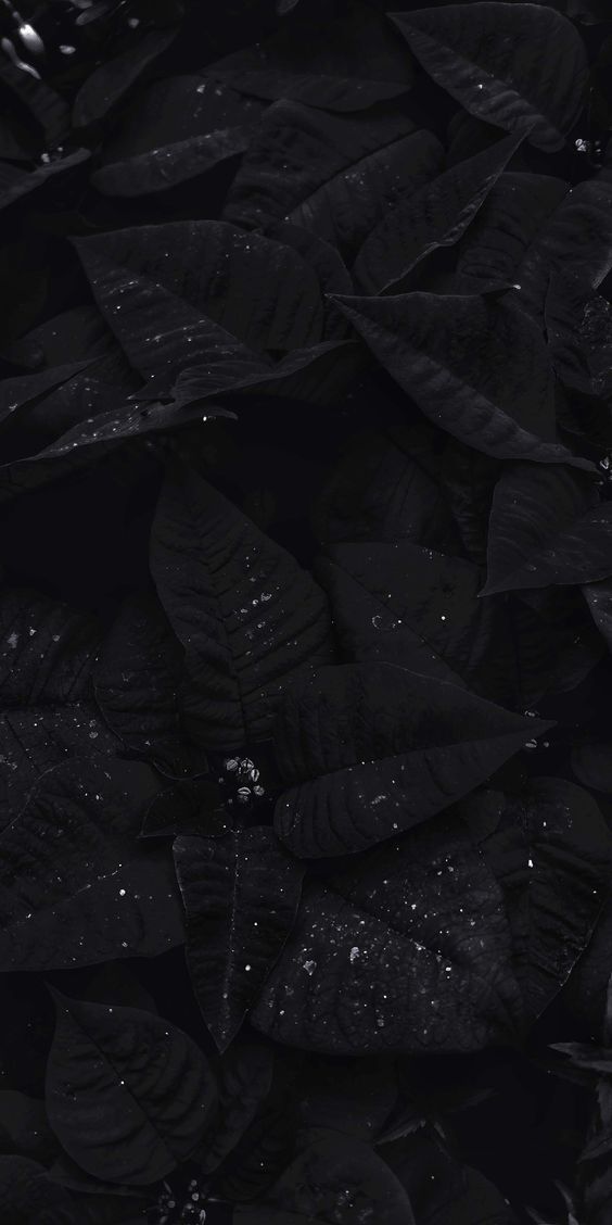 Sad aesthetic dark Wallpapers Download | MobCup