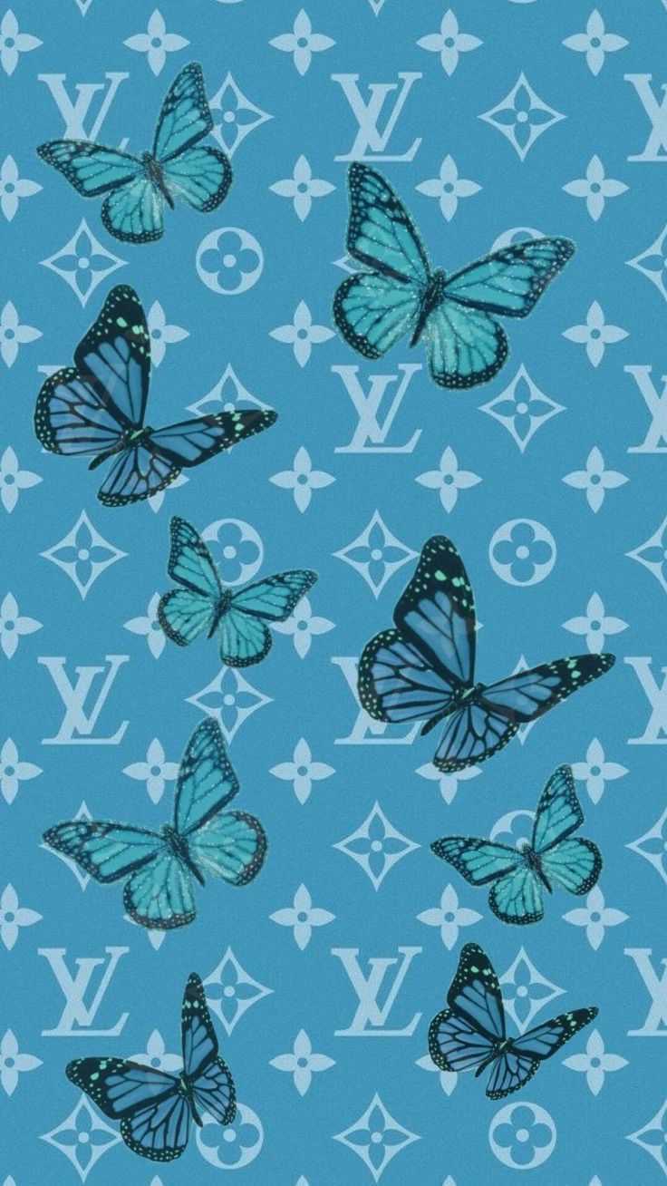 Beautiful blue butterflies Wallpapers Download  MobCup