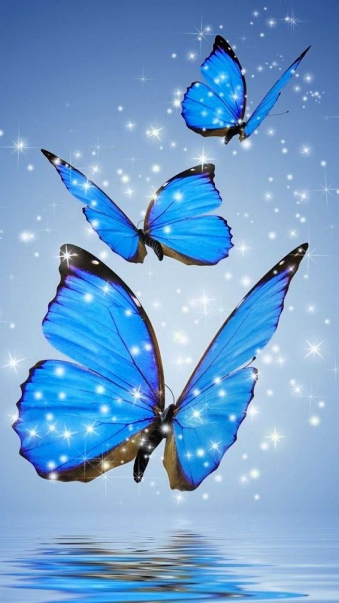 Free download Blue Butterfly Backgrounds 1024x768 for your Desktop  Mobile  Tablet  Explore 71 Blue Butterfly Background  Butterfly  Wallpapers Blue Butterfly Wallpaper Butterfly Background