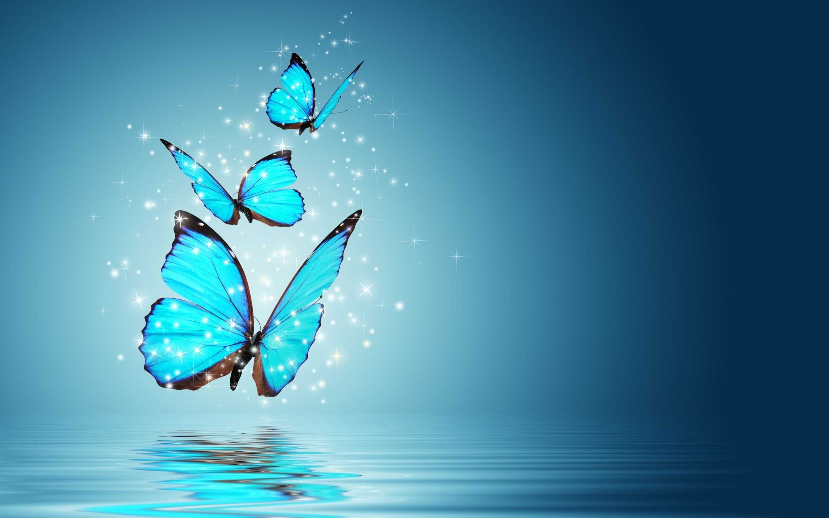 Blue Butterfly Wallpaper - NawPic