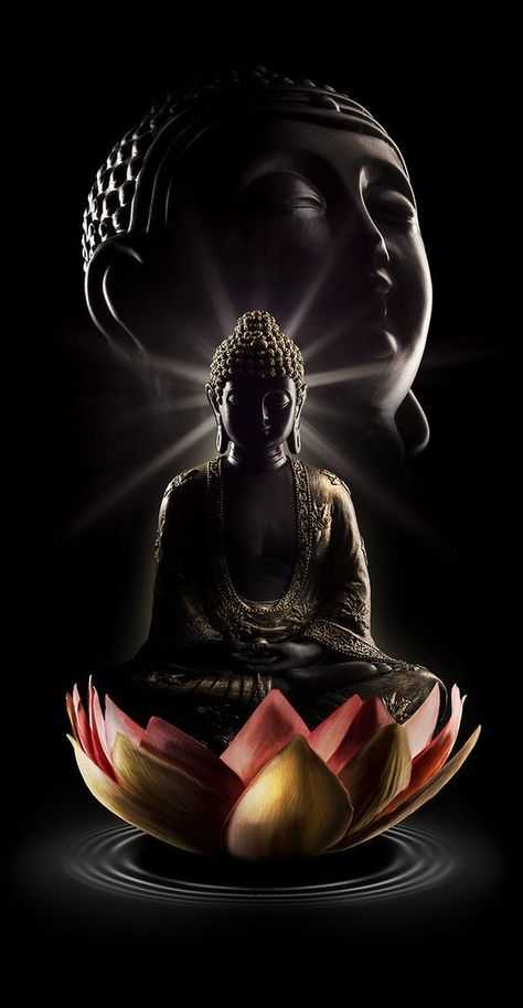 Buddha Images  Browse 1350793 Stock Photos Vectors and Video  Adobe  Stock