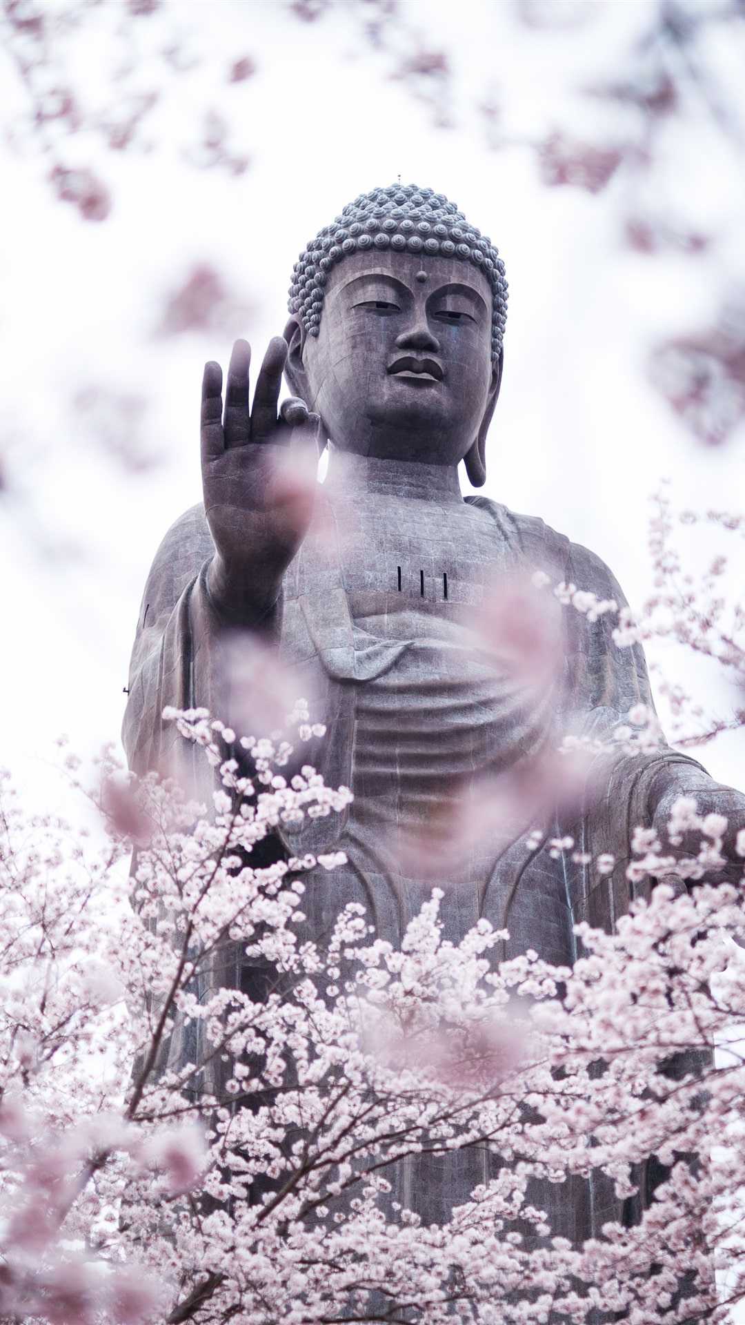 Buddha IPhone Wallpaper 57 images