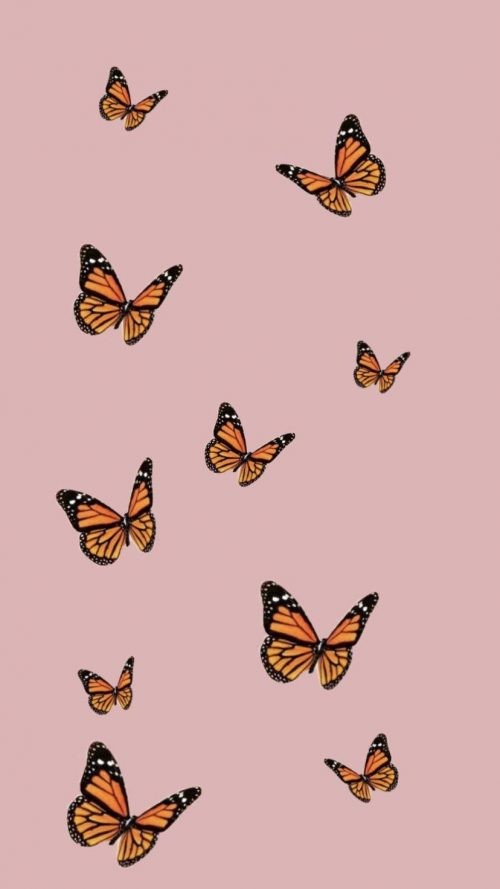 Butterfly Aesthetic Wallpaper