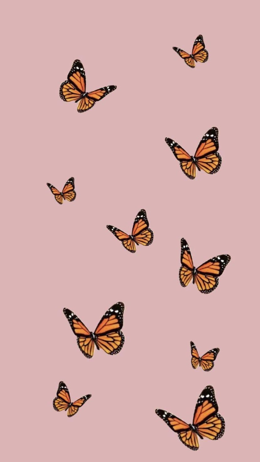 15 Top pink aesthetic wallpaper butterfly You Can Download It Without A ...