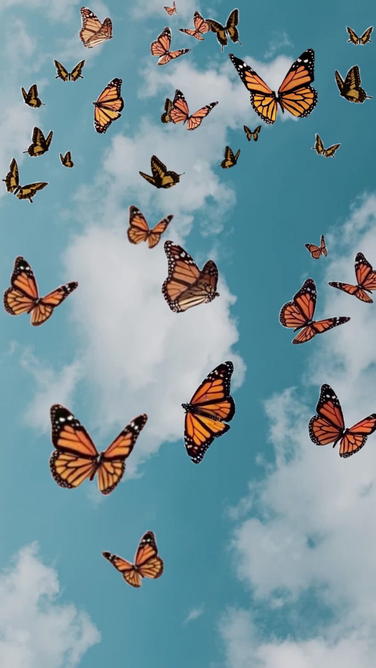 Actualizar 52+ imagen fond d écran butterfly - fr.thptnganamst.edu.vn
