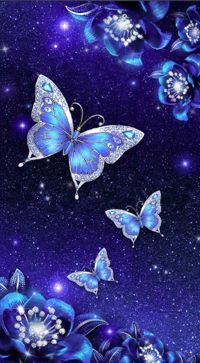 Butterfly Wallpaper - NawPic