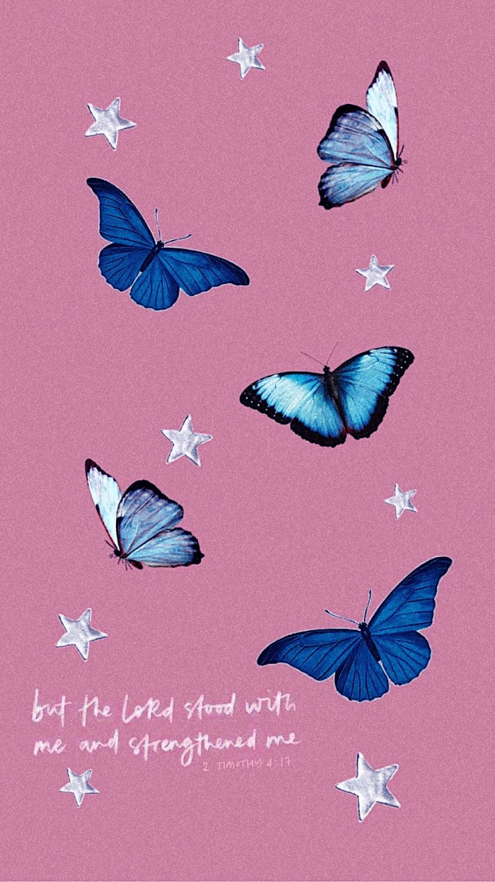 Aesthetic Butterfly Wallpapers  Wallpaper Cave E56  Butterfly wallpaper  Wallpaper Laptop wallpaper