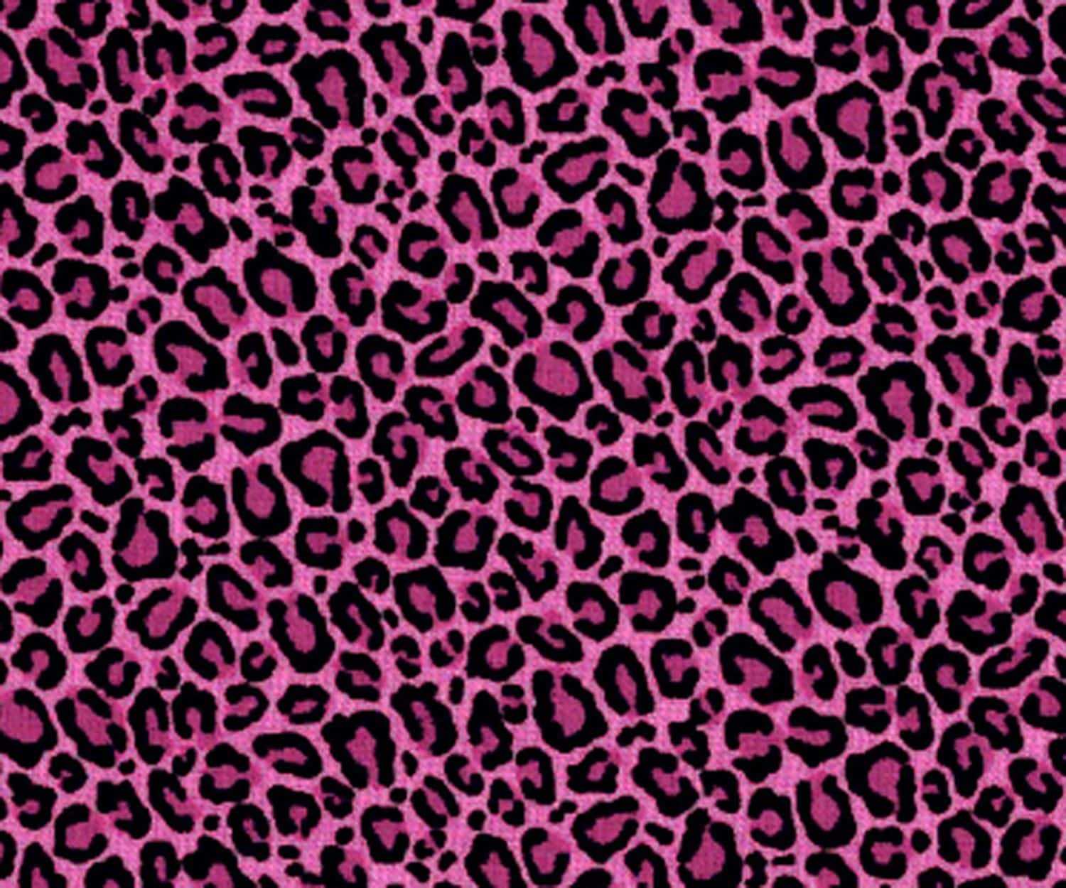 Cheetah Print Wallpaper - NawPic.