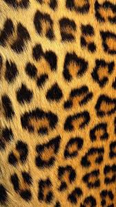 Cheetah Print Wallpaper