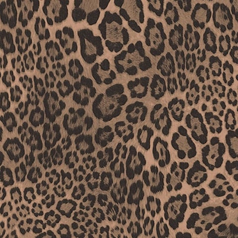 Download Black And Brown Aesthetic Cute Cheetah Print Wallpaper  Wallpapers com