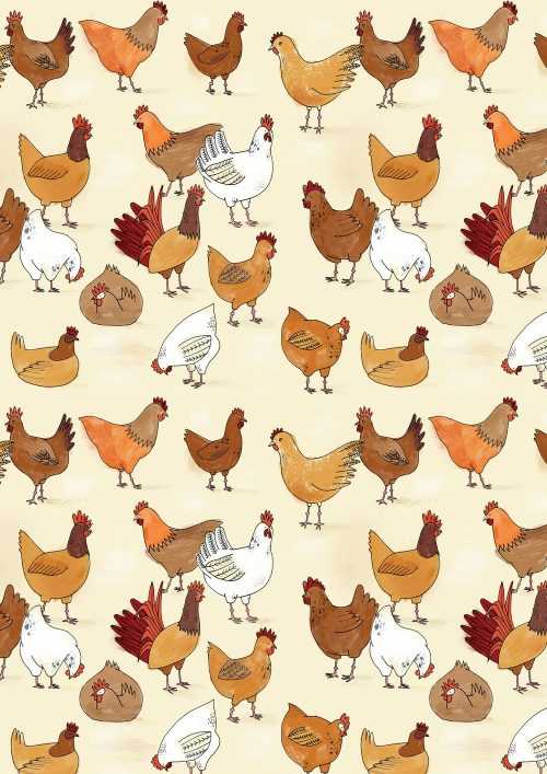 Chicken Wallpaper