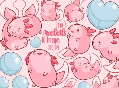 Cute Axolotl Wallpaper