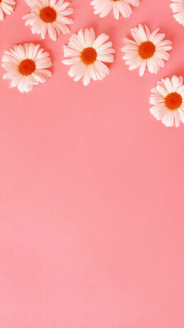 Cute Pink Wallpaper