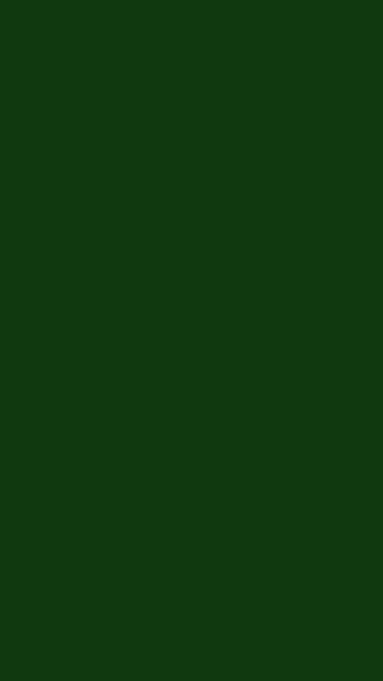 Download Mystic Dark Green Background on iPhone Wallpaper  Wallpaperscom