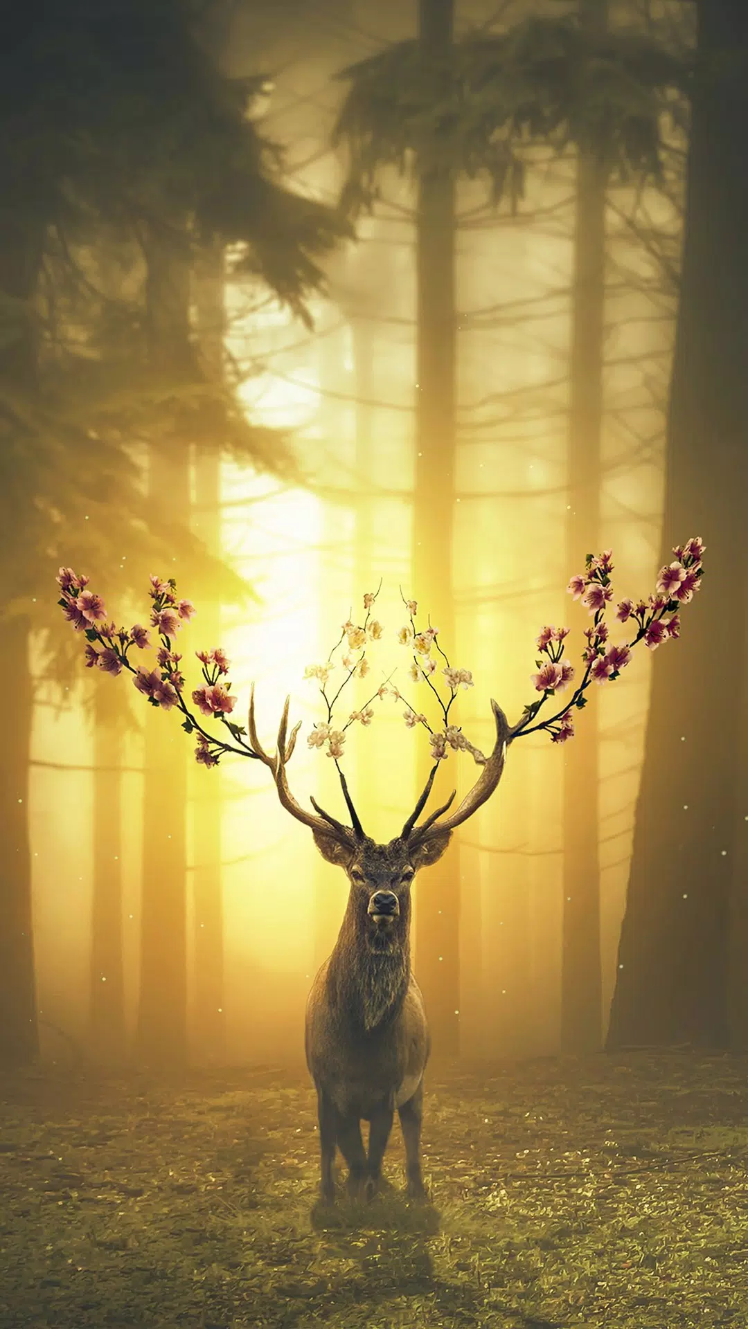 Deer Wallpaper - NawPic