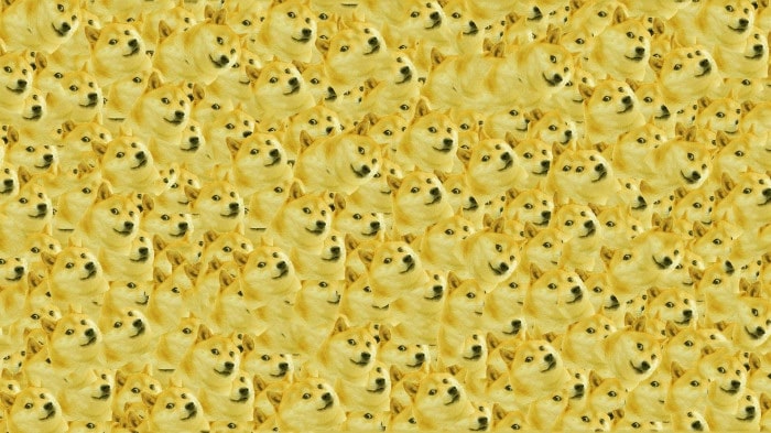 Doge Wallpaper