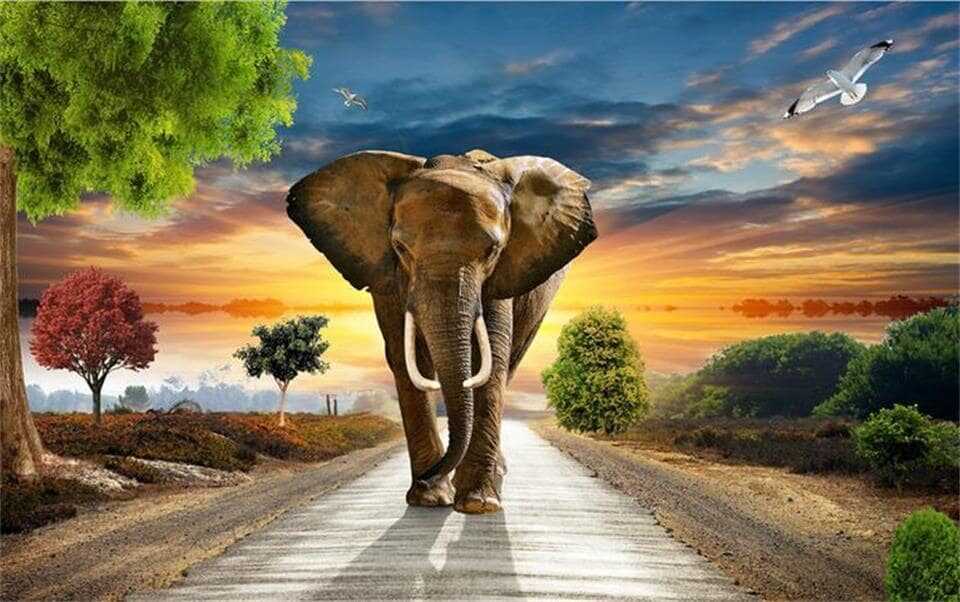 Elephant Wallpaper - NawPic