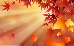 Fall Background Wallpaper