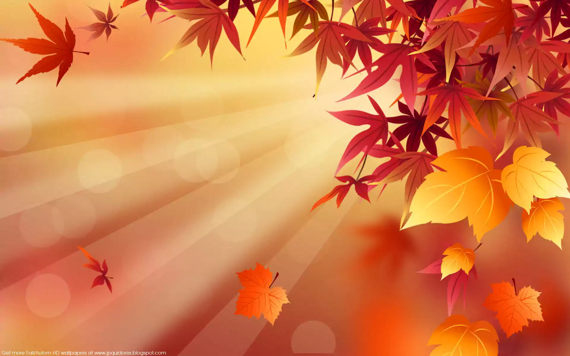 Fall Background Wallpaper - NawPic