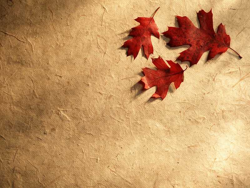 Fall Background Wallpaper - NawPic
