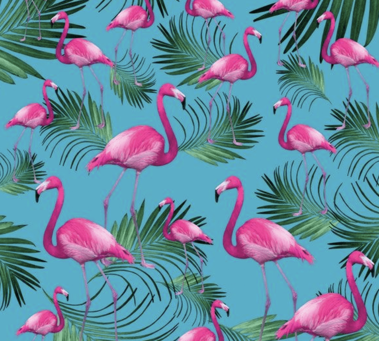 Flamingo Wallpaper - NawPic