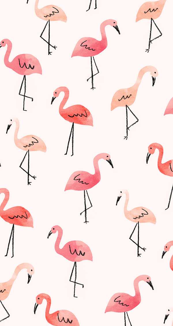 Flamingo Wallpaper Nawpic