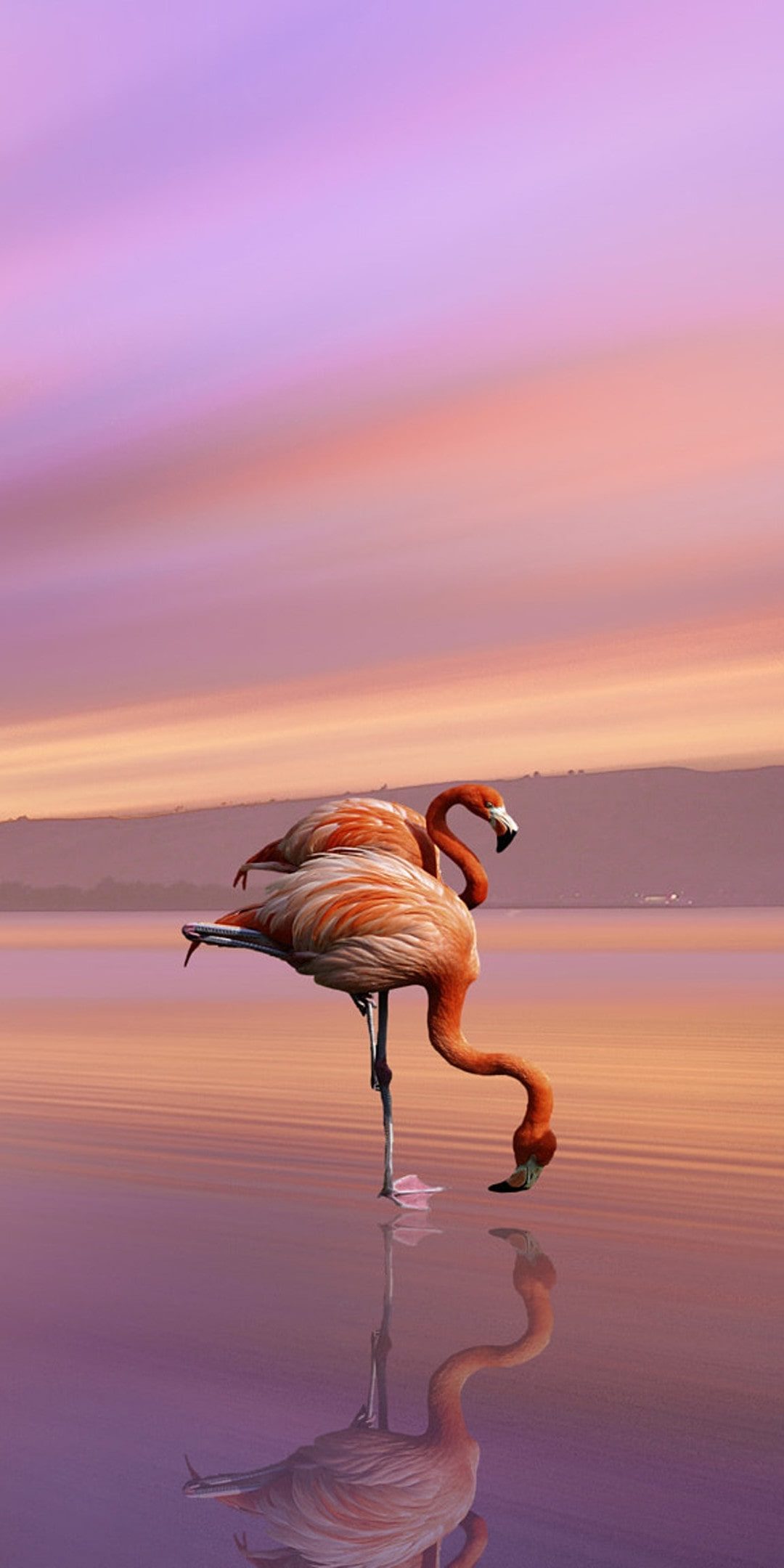 554847 3840x2560 flamingo 4k free wallpaper desktop background  Rare  Gallery HD Wallpapers