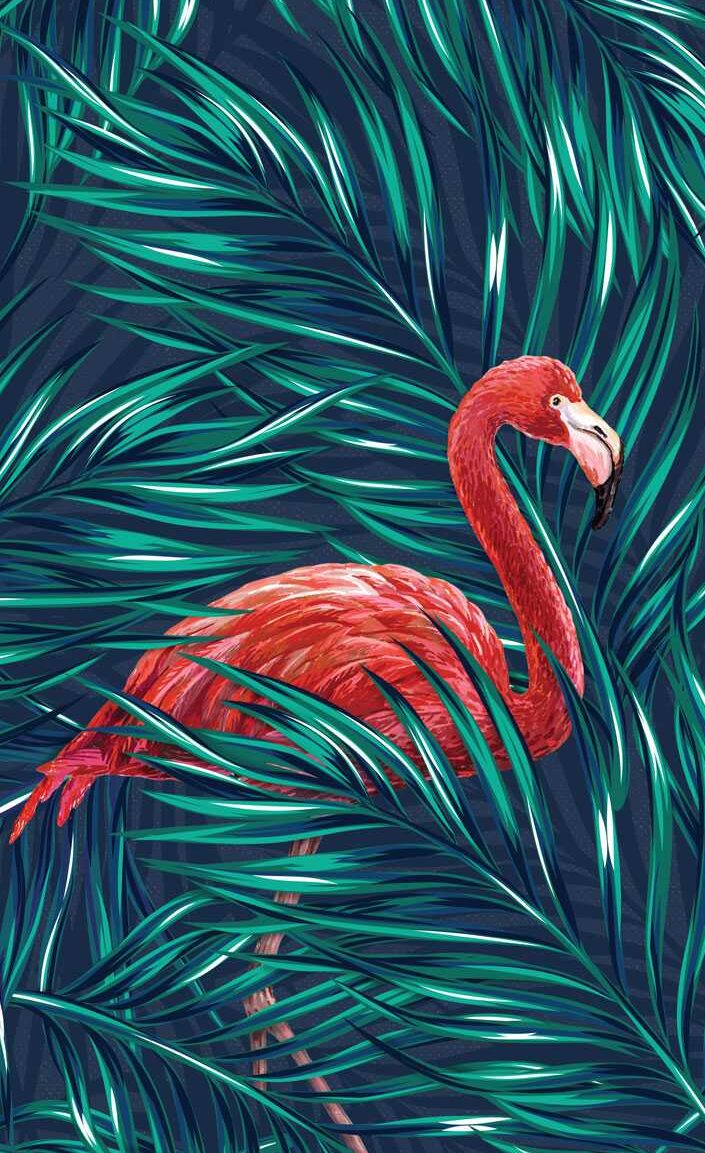 Flamingo Wallpaper