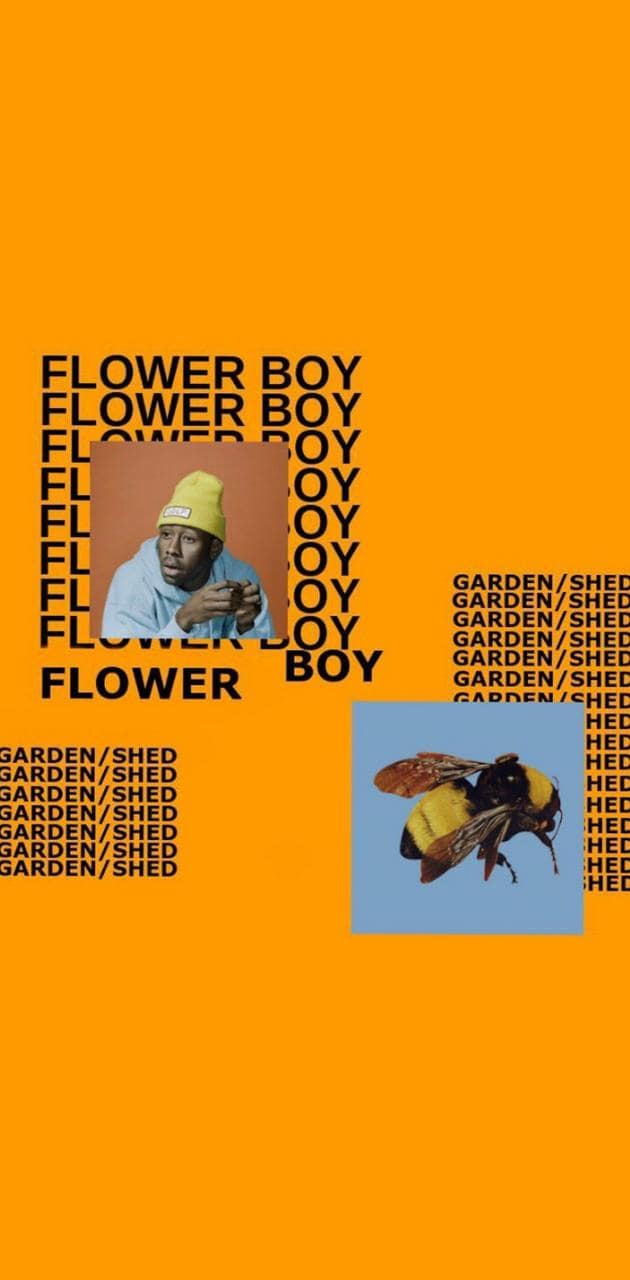 Flower boy Wallpaper