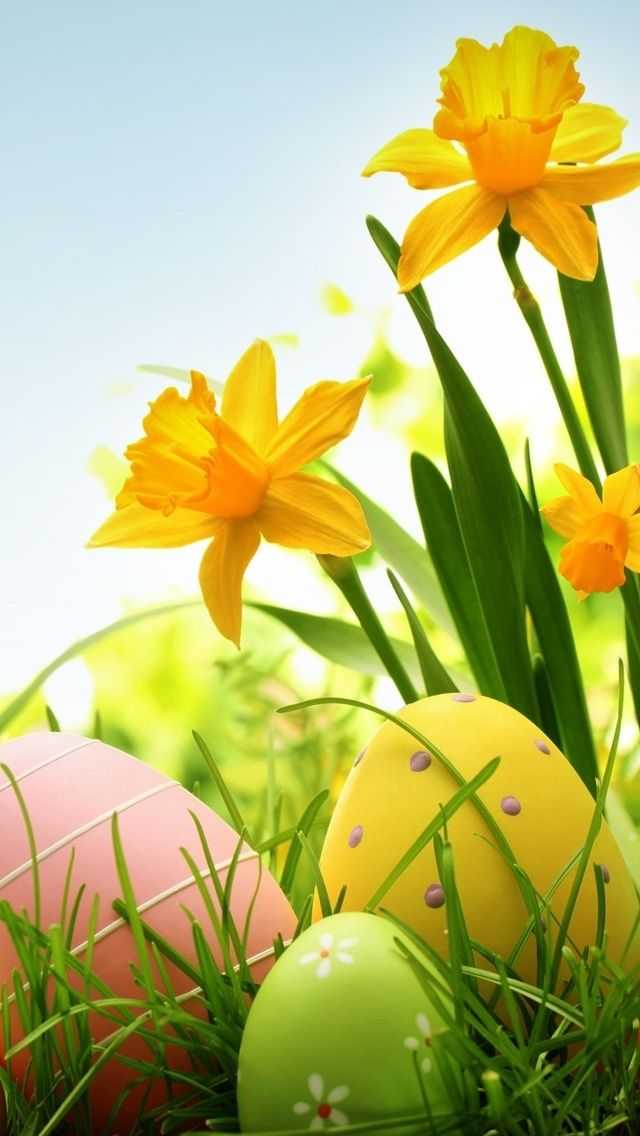 Free Easter Wallpaper - NawPic