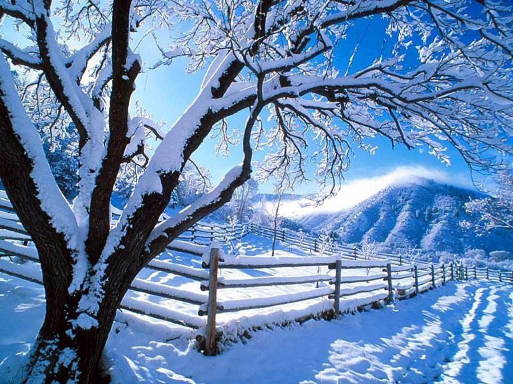 Free Winter Background Wallpaper - NawPic