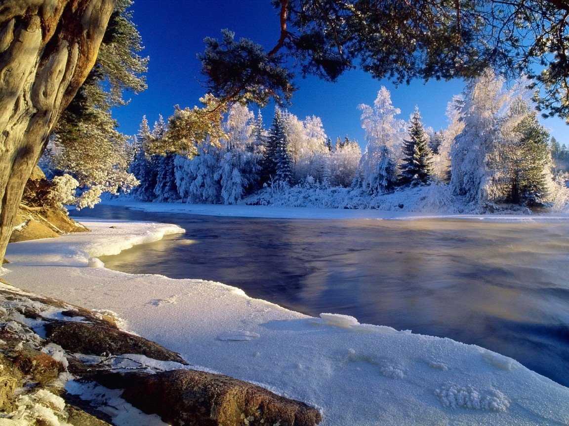 Free Winter Background Wallpaper - NawPic