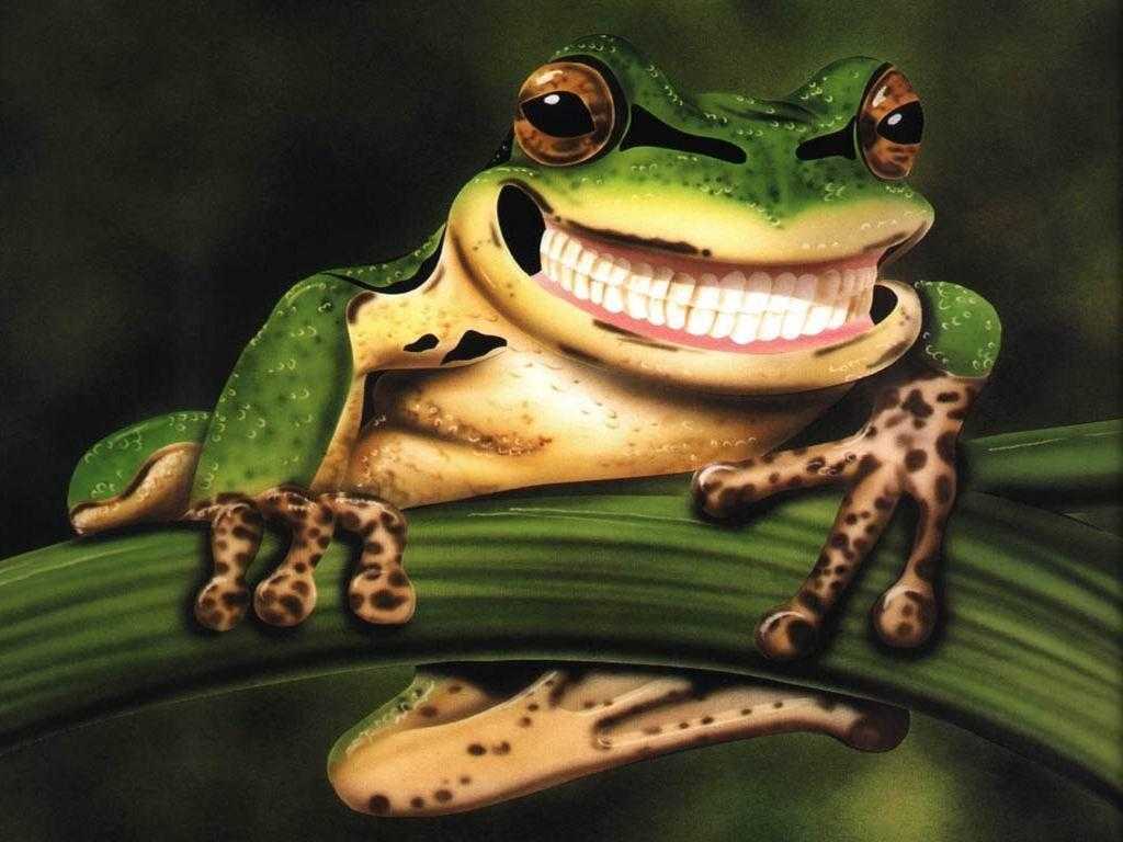 Cartoon Frog Wallpapers  Wallpaper Cave
