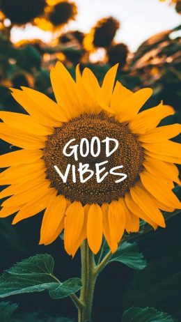 Good Vibes Wallpaper