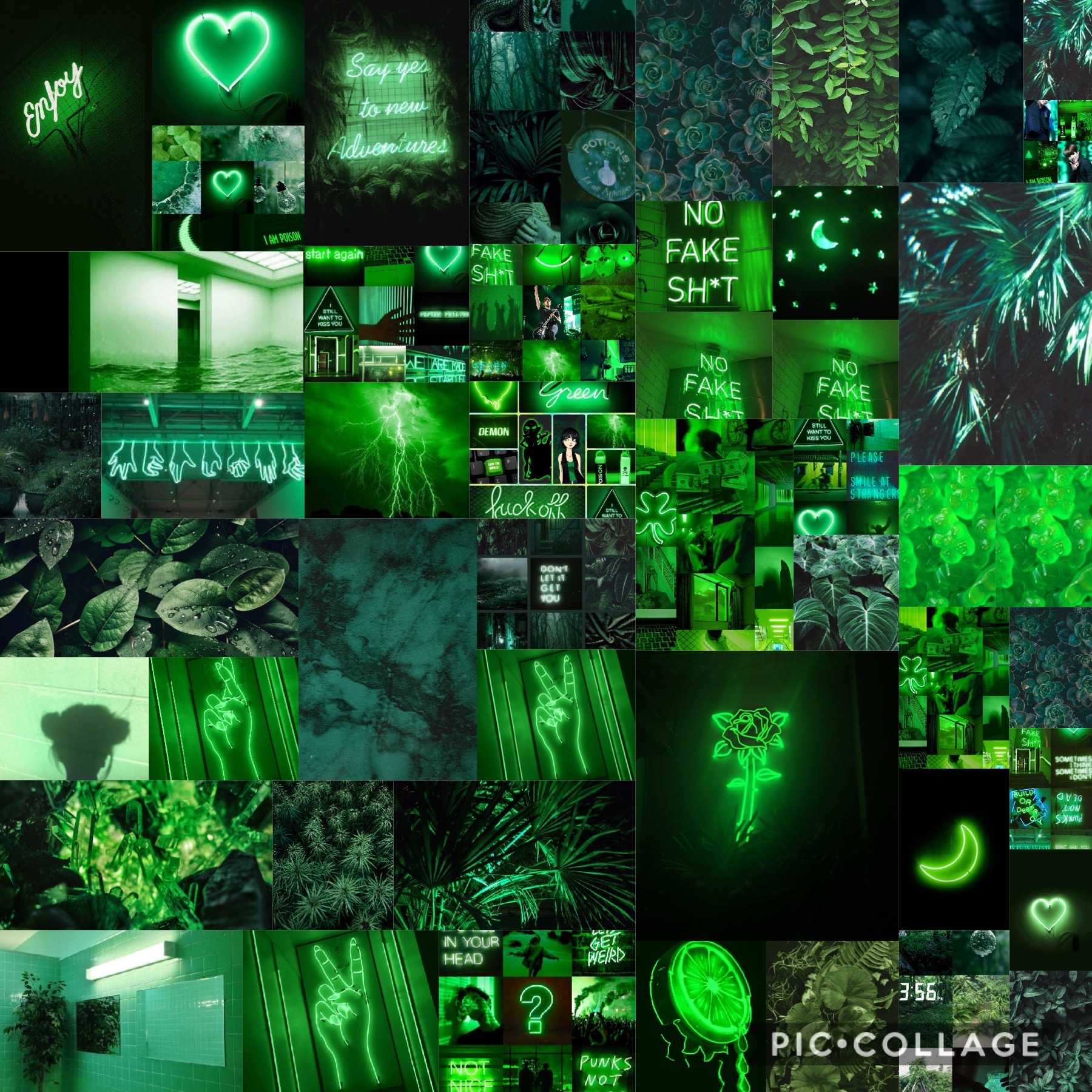 Green aesthetic background HD wallpapers  Pxfuel