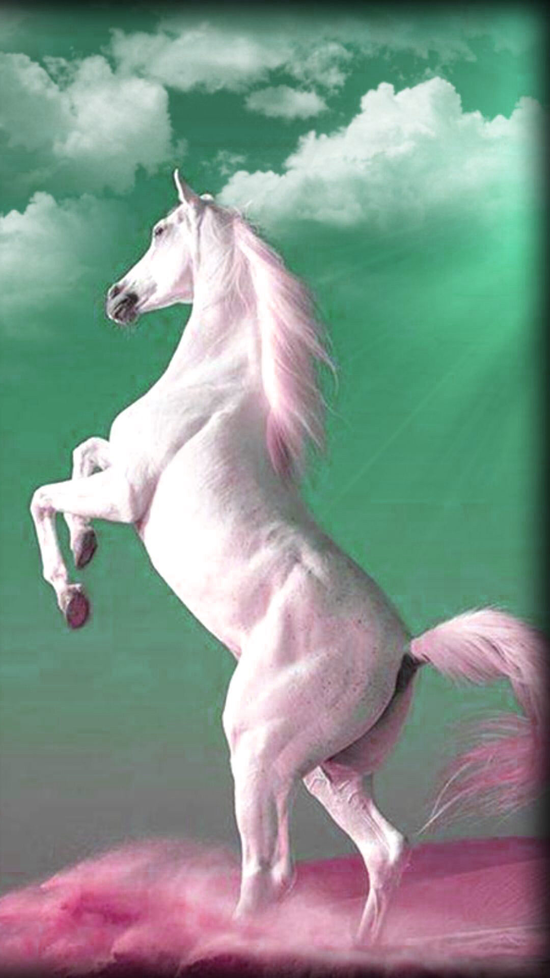 White Horse Wallpapers  Top Free White Horse Backgrounds  WallpaperAccess