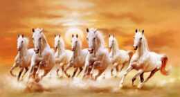 Horse Wallpaper