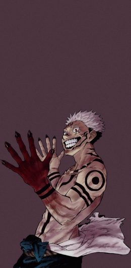 Jujutsu Kaisen iphone Wallpaper