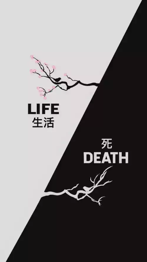 Life and Death Wallpaper