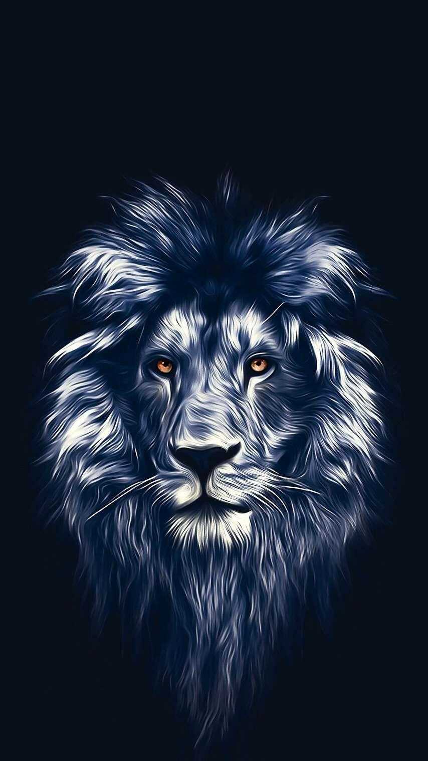 170 Lion HD Wallpapers and Backgrounds