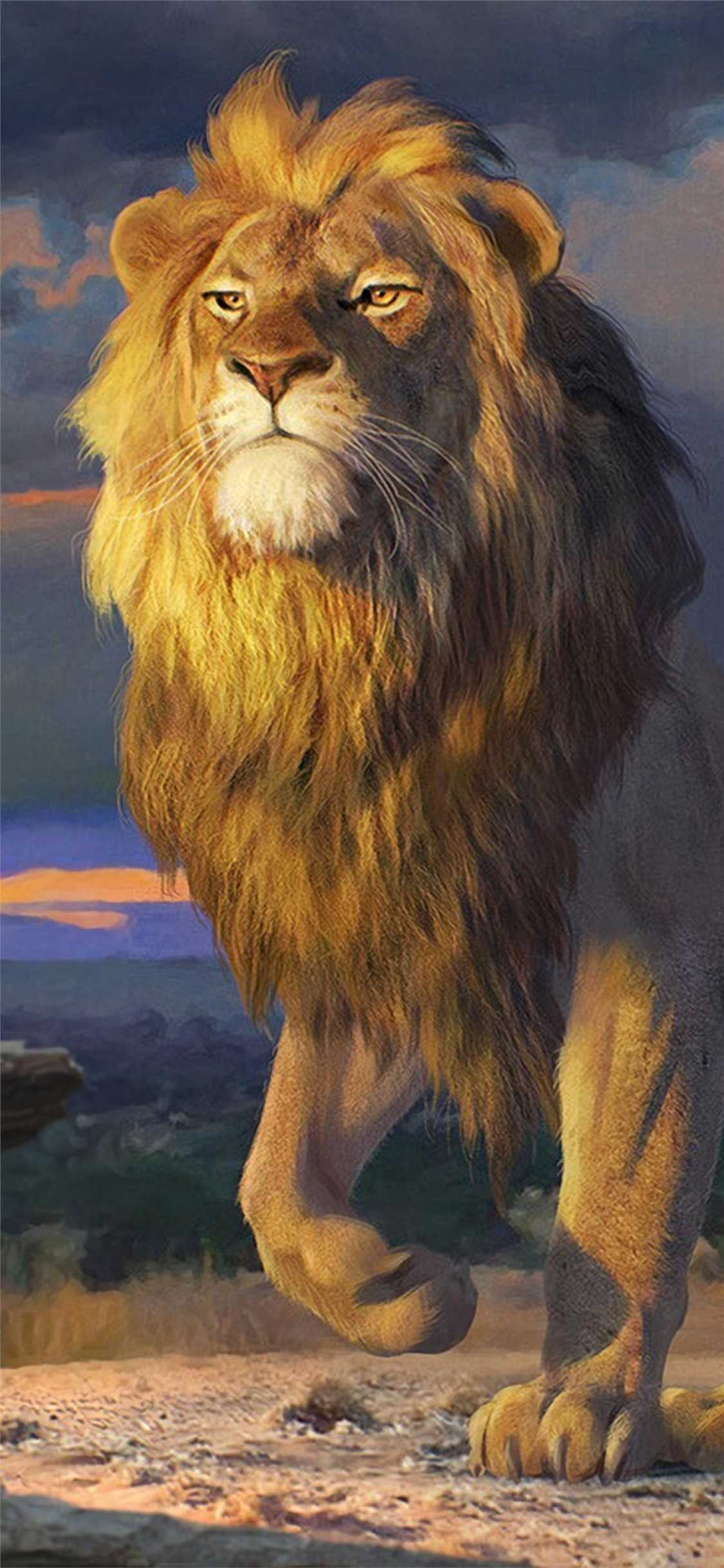 Lion Wallpaper - NawPic