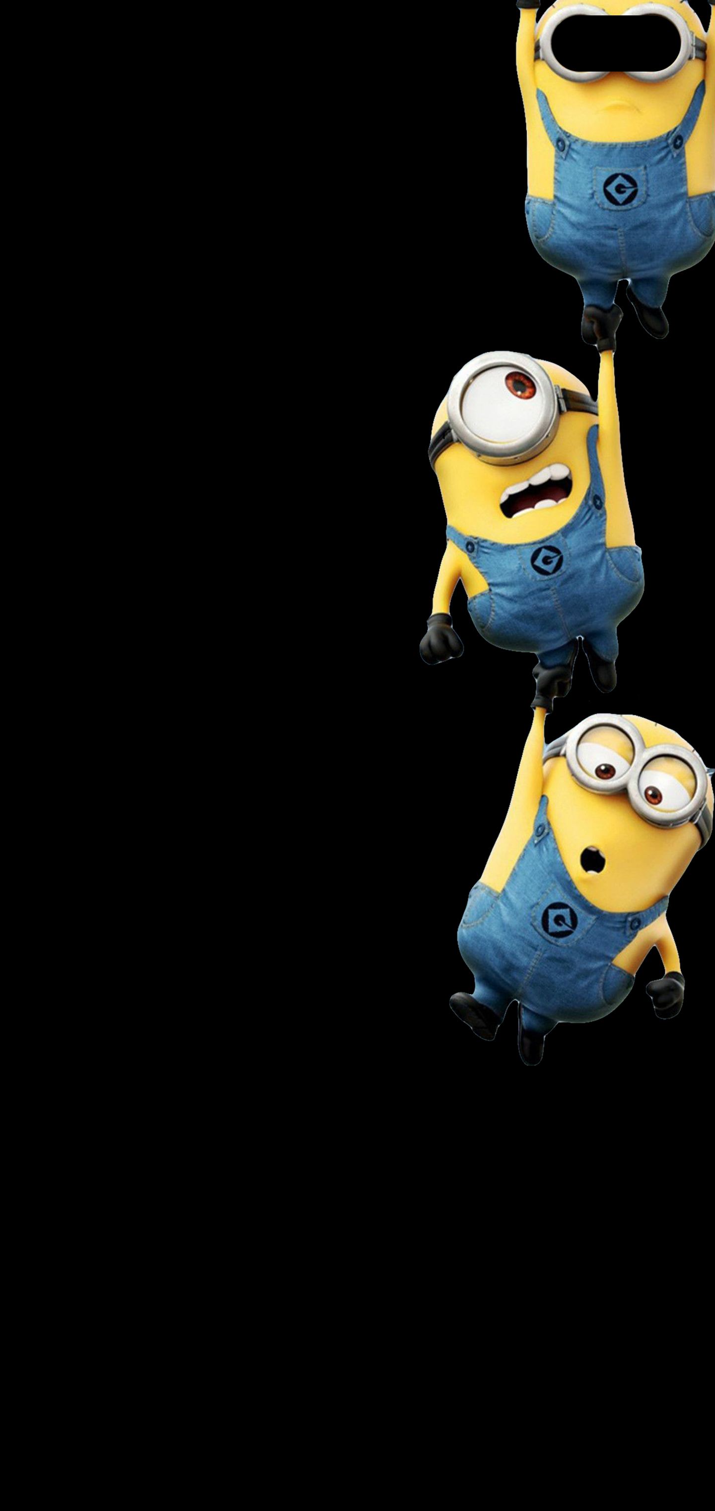 Minion Phone Wallpaper 84 images