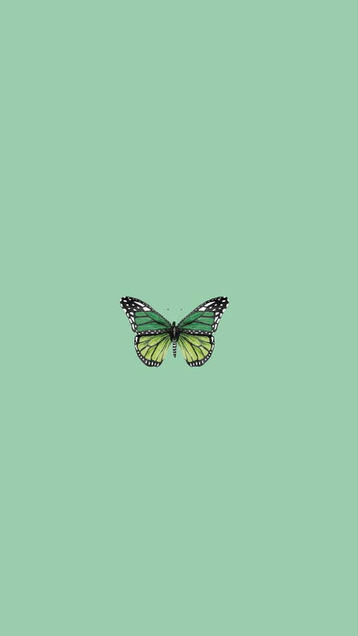 Mint Green Wallpaper - NawPic