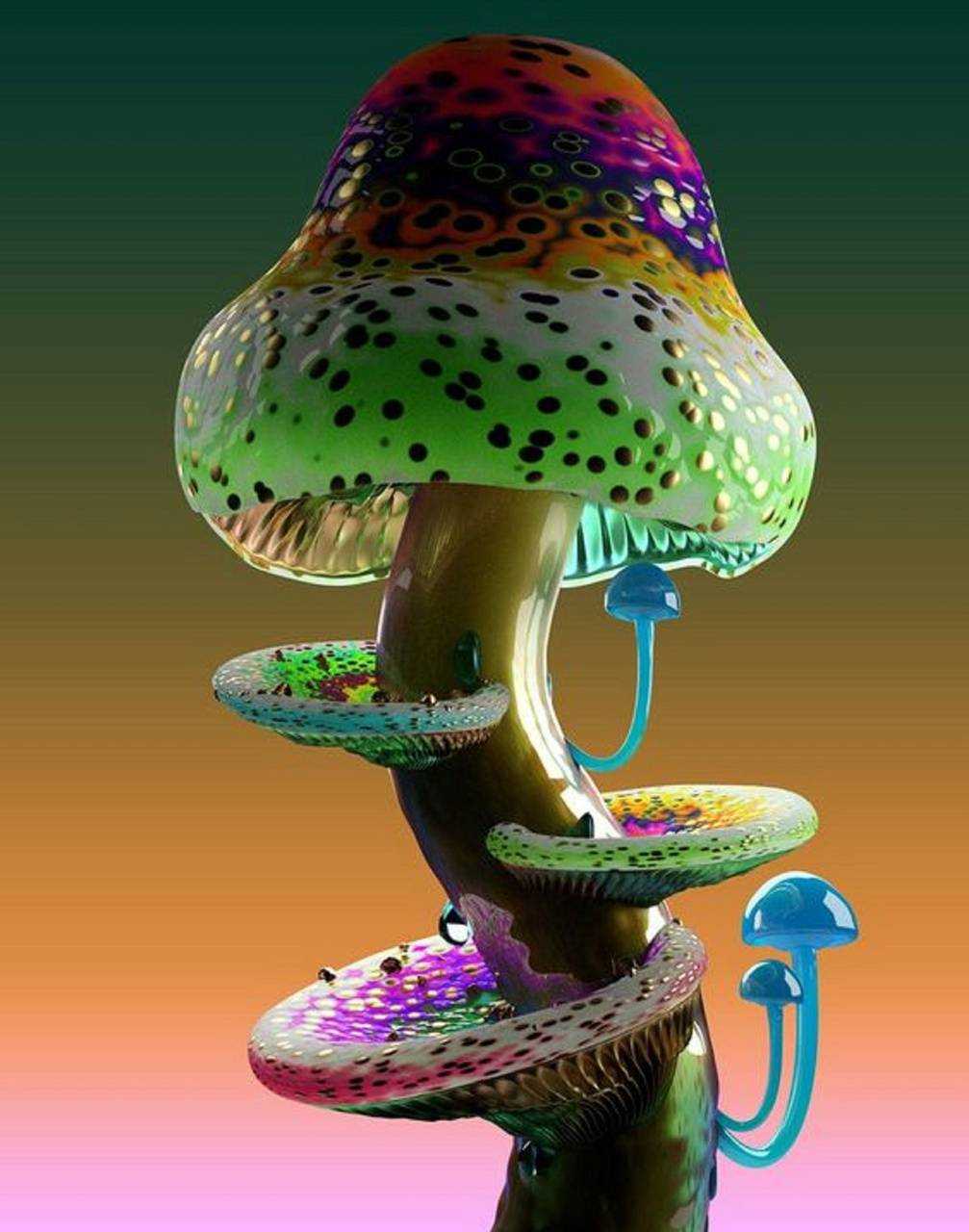 Mushroom iphone Wallpaper