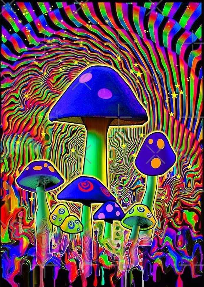 Mushroom Mobile Wallpaper - NawPic